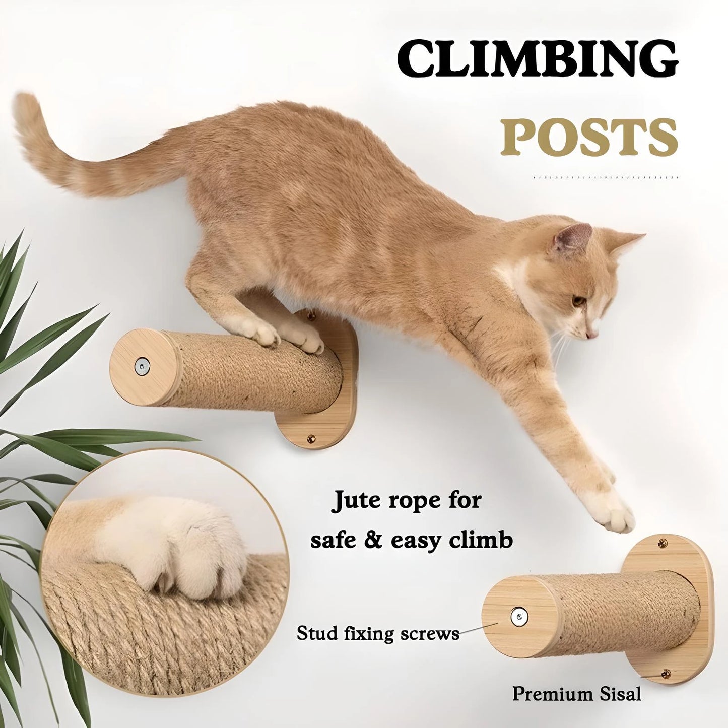 Wall-Mounted Cat Hammock with Steps & Climbing Perches